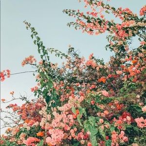 Meet your Posher, Kathryn